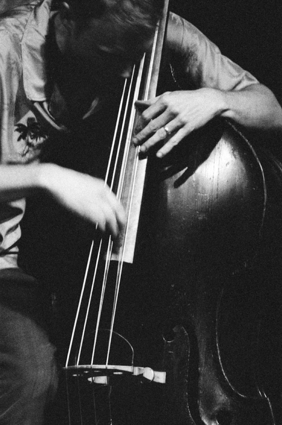 In black and white, a bassist's hands work the strings of an upright bass.
